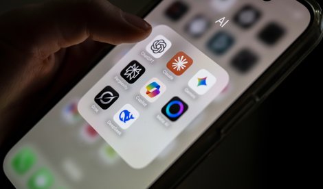 notibrasil sociedade