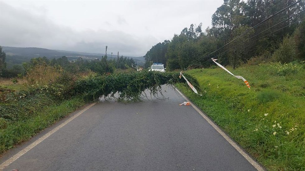 Archivo - Un árbol caído sobre el tendido eléctrico corta la circulación en una carretera de Carballo (A Coruña).