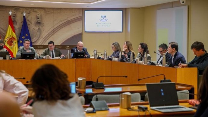 El consejero de Hacienda, Gobernanza Pública, Sociedad Digital y Portavocía, Alfonso Domínguez, comparece a petición propia ante la Comisión Institucional, de Desarrollo Estatutario y de Régimen de la Administración Pública del Parlamento