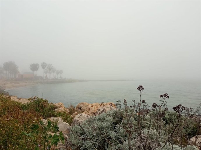 Un día de niebla en Palma.