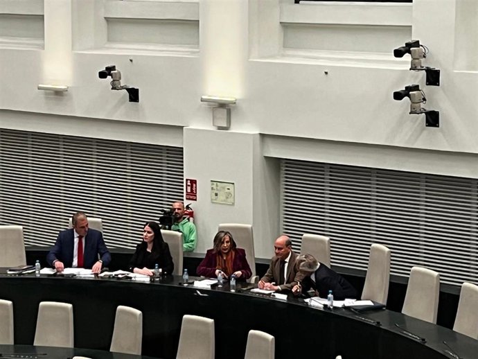 Grupo municipal de Vox