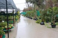 Ayudas por el temporal en Andalucía: cómo solicitar desde este martes las subvenciones de la Junta para los municipios