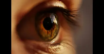 ¿Ves puntos o hilos moviéndose en tu vista? No es inusual