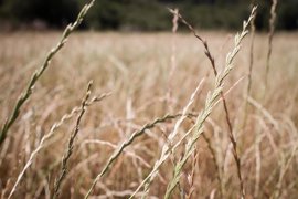 Foto: Carlos Castro - Europa Press - Archivo