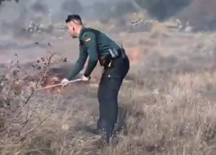 Incendio en Muñopepe (Ávila).