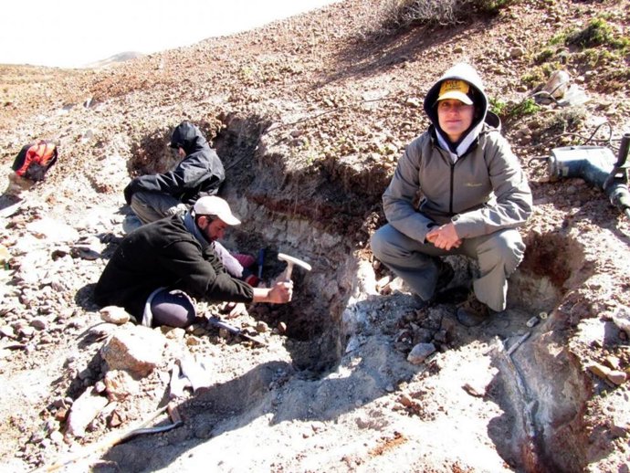 Labores de excavación paleobotánica en el yacimiento La Flecha, en la Patagonia argentina, en donde se encontraron las flores estudiadas.