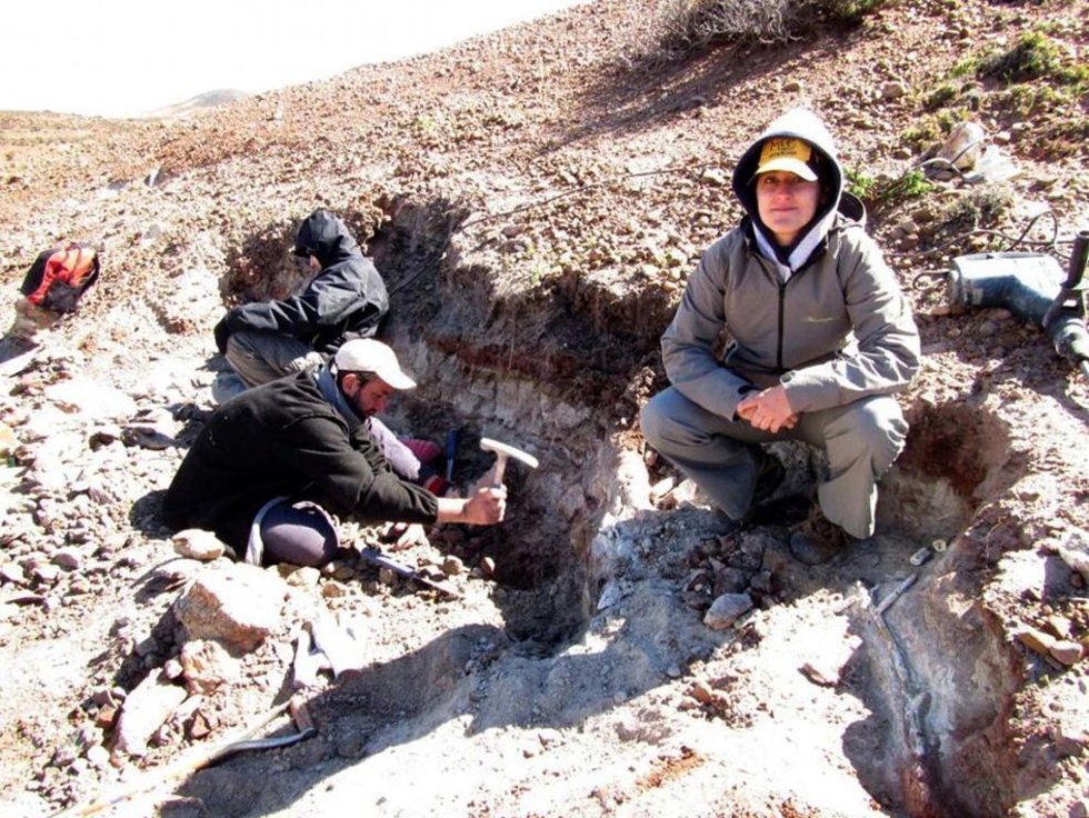 Labores de excavación paleobotánica en el yacimiento La Flecha, en la Patagonia argentina, en donde se encontraron las flores estudiadas.