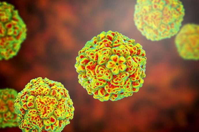 Archivo - Recreación de un enterovirus.