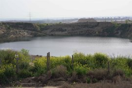 Foto: AYUNTAMIENTO DE MADRID - Archivo
