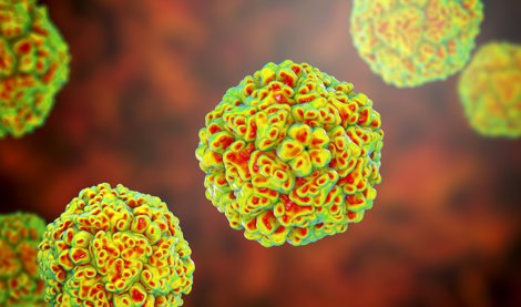 notibrasil sociedade