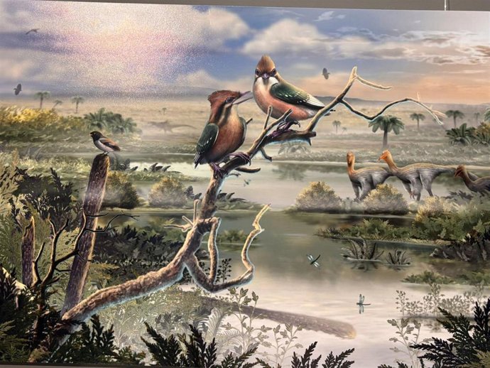 Imagen del Gorgonavis alcyone.