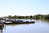 Foto: L'Albufera pierde 10 centímetros de profundidad en dos décadas en un proceso agravado por la dana