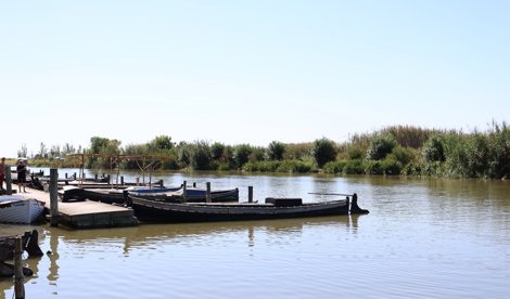 notibrasil política