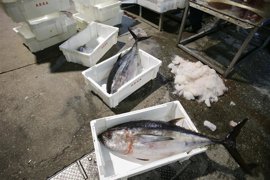 Foto: Carlos Castro - Europa Press - Archivo