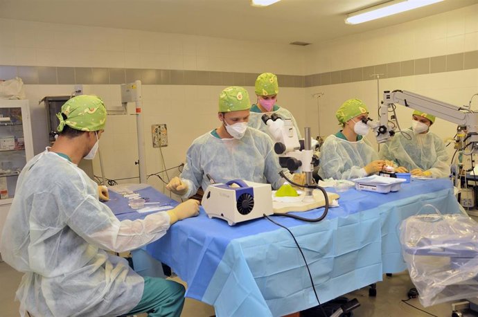 Archivo - Hospital Universitario de Gran Canaria Dr. Negrín