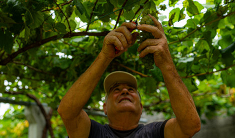 EpAgro - Agricultura