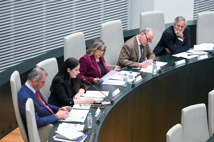 El portavoz de VOX en el Ayuntamiento, Javier Ortega Smith (i), y la concejal de VOX, Arantxa Cabello (c), durante una sesión ordinaria del Pleno del Ayuntamiento de Madrid, en el Palacio de Cibeles