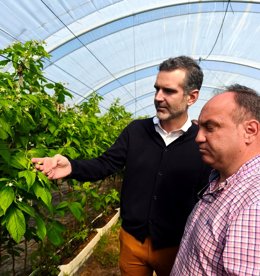 Es Andalucía - Huelva