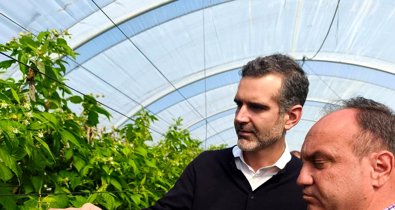 Es Andalucía - Huelva