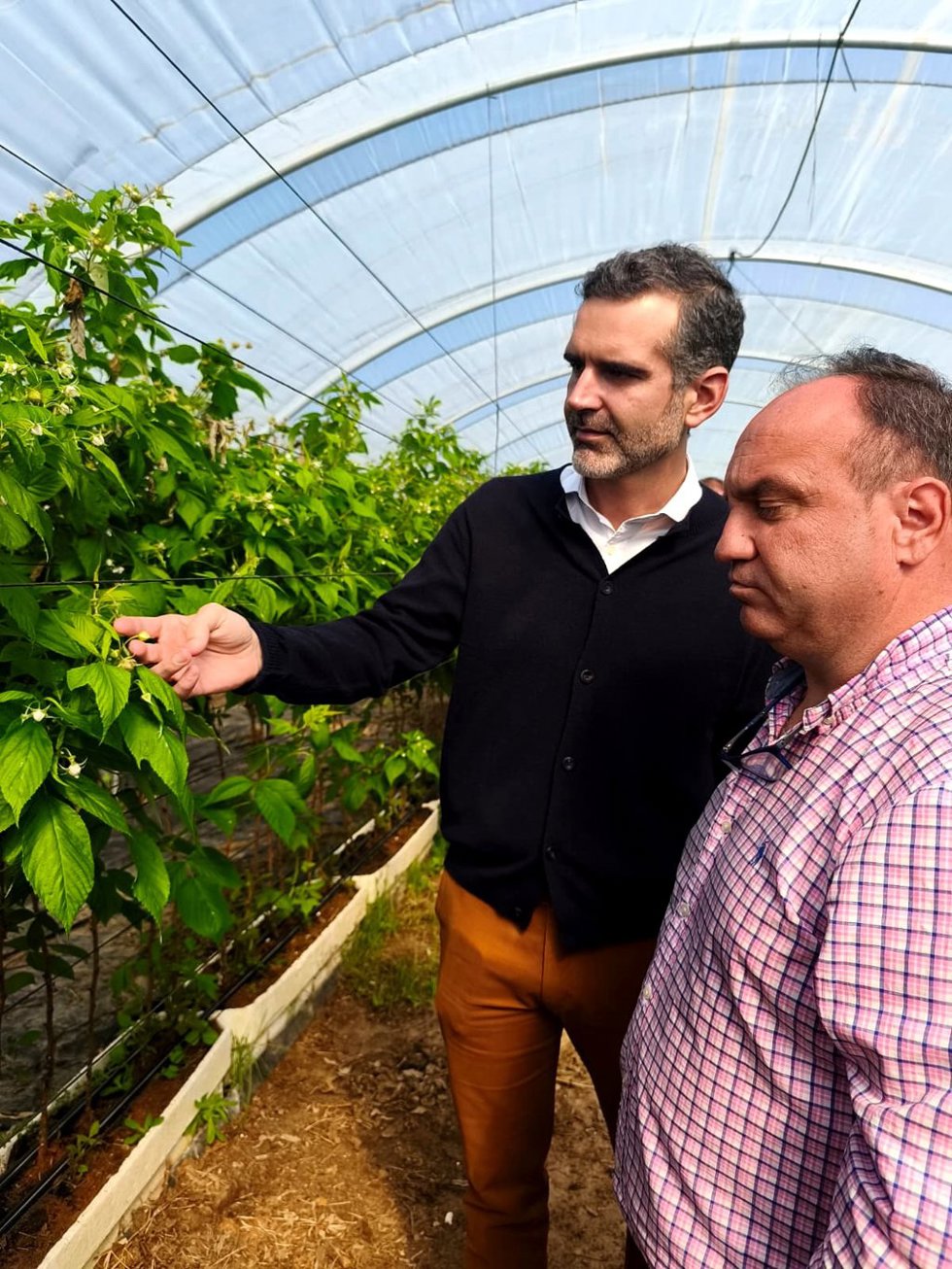 El consejero de Agricultura, Pesca, Agua y Desarrollo Rural, Ramón Fernández-Pacheco, en su visita a una finca de Rociana del Condado (Huelva).