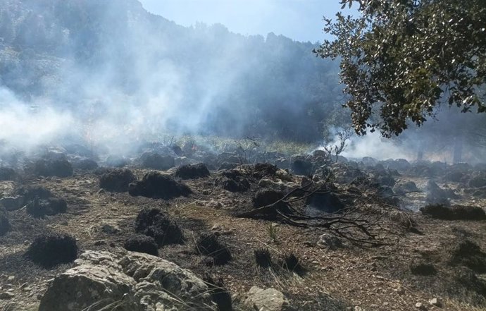 Incendio iniciado en la zona de es Gorg Blau en Escorca.