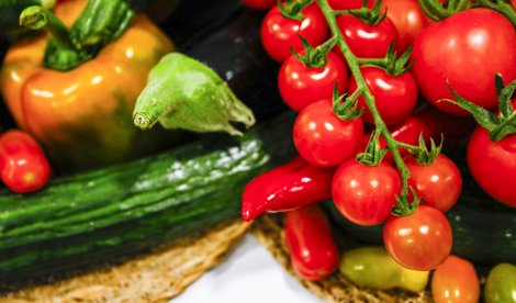 EpAgro - Agricultura