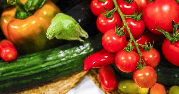 EpAgro - Agricultura