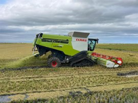 Foto: LA UNIÓ - Archivo