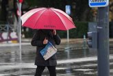 Foto: Baviera alerta de que las intensas lluvias van a adelantar los síntomas de alergia ocular