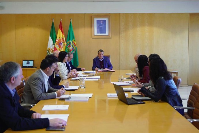 El presidente de la Diputación de Sevilla, Javier Fernández.