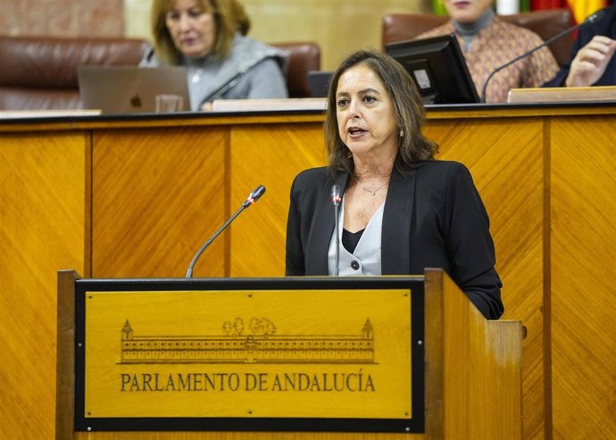 Archivo - La consejera de Sostenibilidad y Medio Ambiente, Catalina García, interviene en el Pleno del Parlamento andaluz. (Foto de archivo).