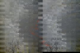 Foto: NACHO CUBERO-EUROPA PRESS