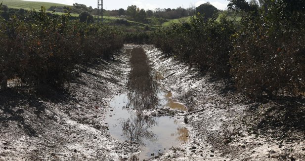 Es Andalucía - Sevilla