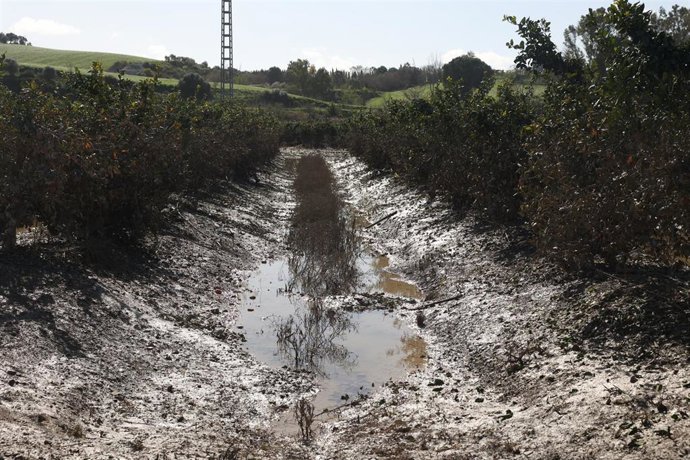Imagen de zonas agrícolas afectadas por el tren de borrascas en Jerez de la Frontera (Cádiz). A 19 de febrero de 2026 en Jerez de la Frontera, Cádiz (Andalucía, España). 