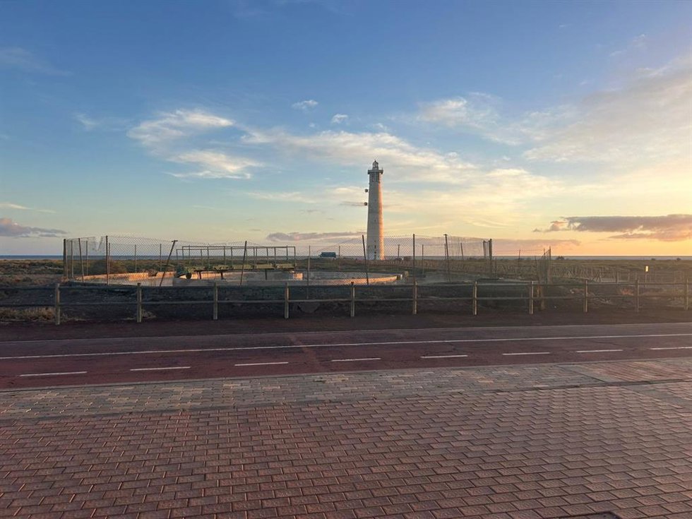 Saladar de Jandía (Fuerteventura)