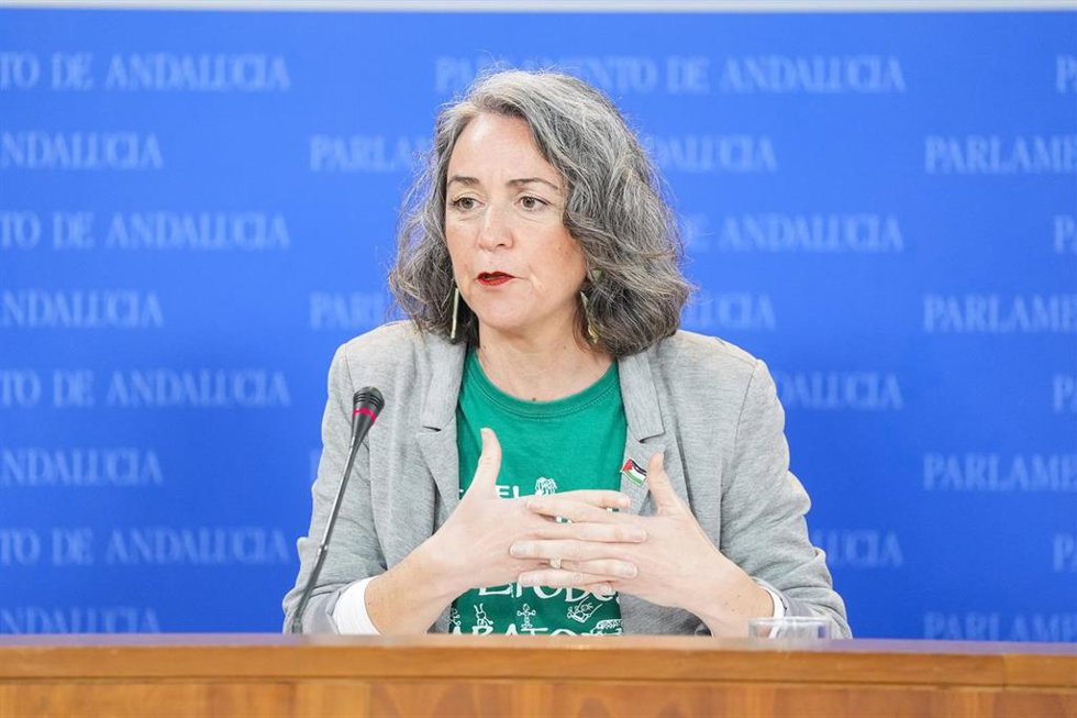 La portavoz adjunta del Grupo Mixto-AdelanteAndalucía, Begoña Iza, durante la ronda de ruedas de prensa de portavoces de los grupos parlamentarios en el Parlamento de Andalucía, a 25 de febrero de 2026 en Sevilla (Andalucía, España). Los portavoces de l