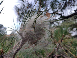 Foto: AYUNTAMIENTO DE ZARAGOZA - Archivo