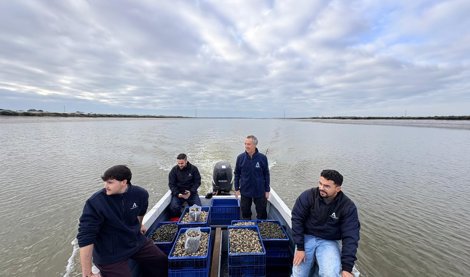 Es Andalucía - Huelva