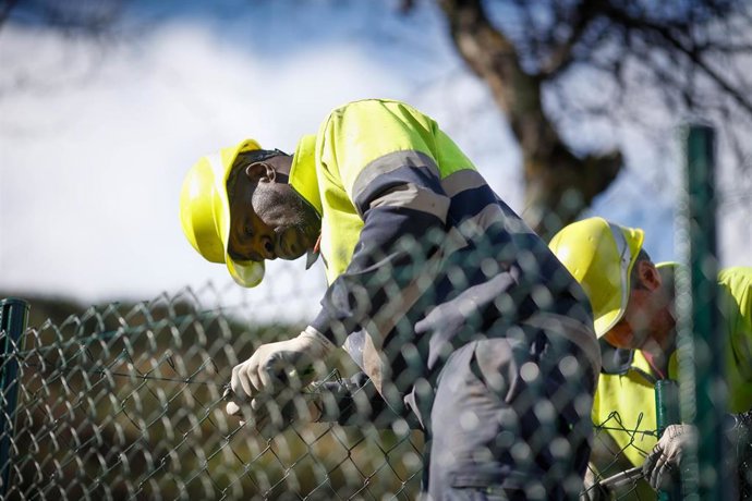 Archivo - El trabajador senegalés Assane Camara durante su jornada laboral, a 27 de febrero de 2025, en Cervantes, Lugo, Galicia (España).