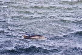 Foto: Beatriz Ciscar - Europa Press - Archivo