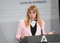 La Junta mueve 214,7 millones del Presupuesto 2026 para destinarlos al Plan Andalucía Actúa y niega recortes