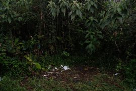 Foto: Adrián Irago - Europa Press - Archivo