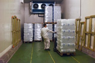 Archivo - Un trabajador tira de un palé de hielos en la fábrica de hielo ‘Eurofrío Blasco’, a 6 de agosto de 2022, en San Fernando de Henares, Madrid (España). 