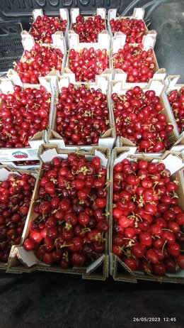 Cerezas de Alfarnate.