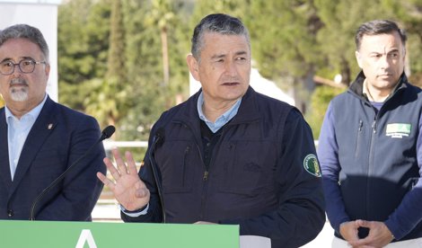 Es Andalucía - Sevilla