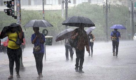 notibrasil sociedade