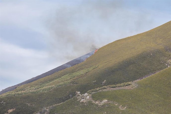 Archivo - Imagen de archivo de un incendio forestal