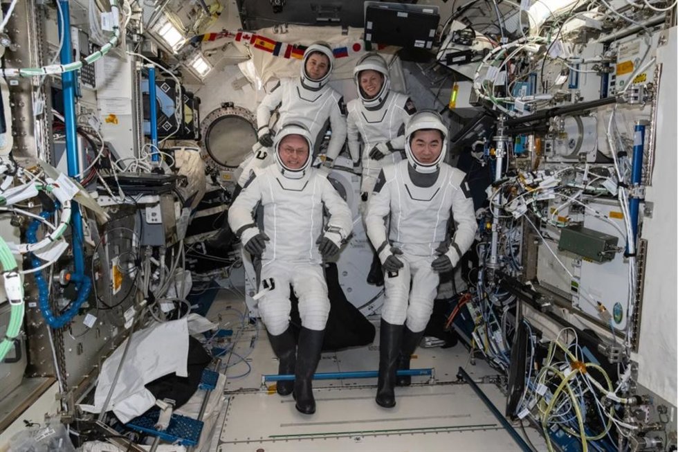 Archivo - Astronautas de la misión SpaceX Crew-11