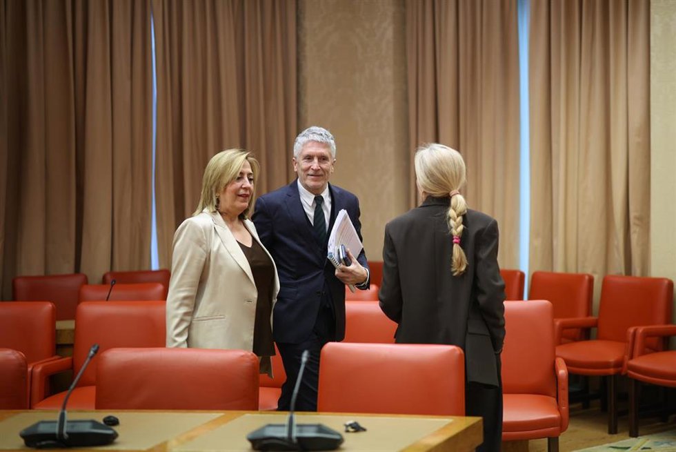 El ministro del Interior, Fernando Grande Marlaska, en la Comisión de Interior del Congreso 