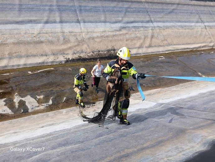 Los bomberos de la Diputación de Cáceres rescatan a un perro que había caído al Canal de Orellana.
